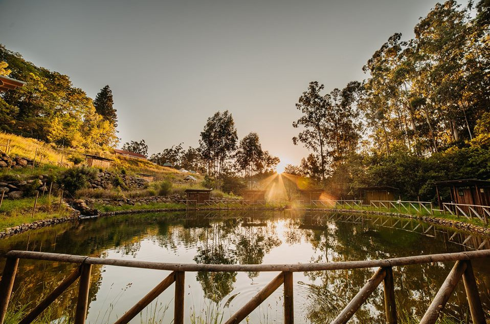 Parque ribeira primeira.jpg